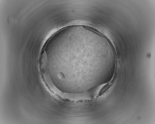 X0000091580997200709101014