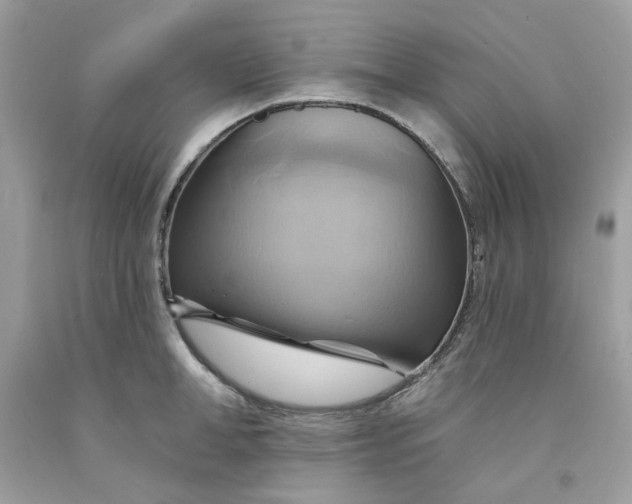 X0000091580998200709101014