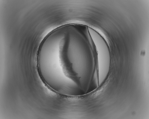 X0000091580999200709101014