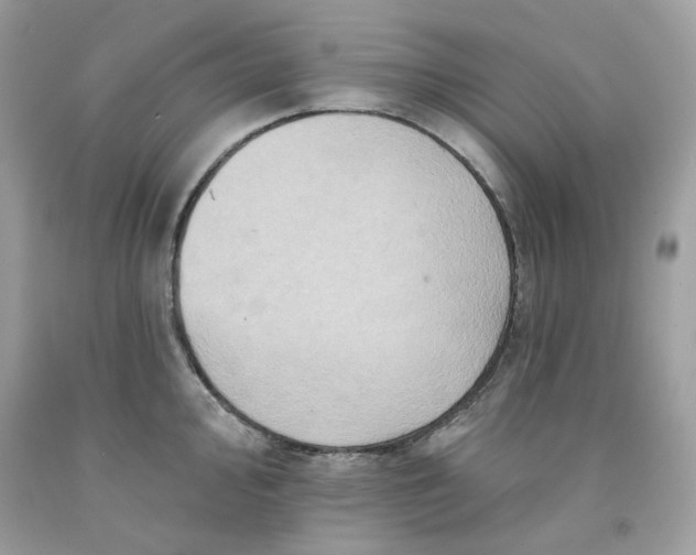 X0000091581000200709101014