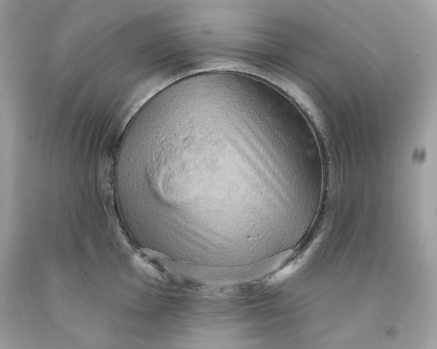 X0000091581001200709101014