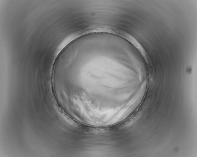 X0000091581002200709101014