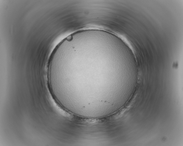 X0000091581003200709101014