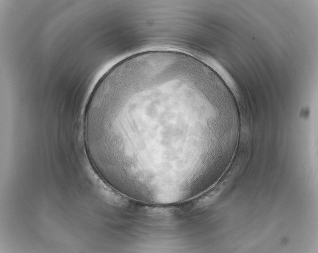 X0000091581004200709101014