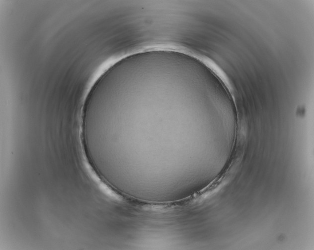 X0000091581005200709101014