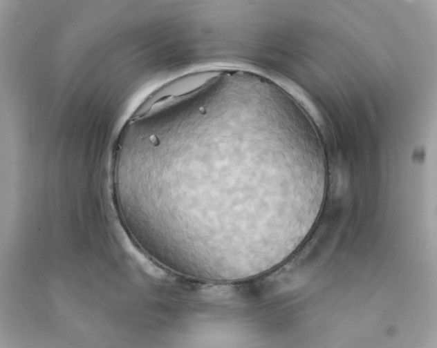 X0000091581006200709101014