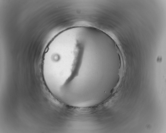 X0000091581008200709101014