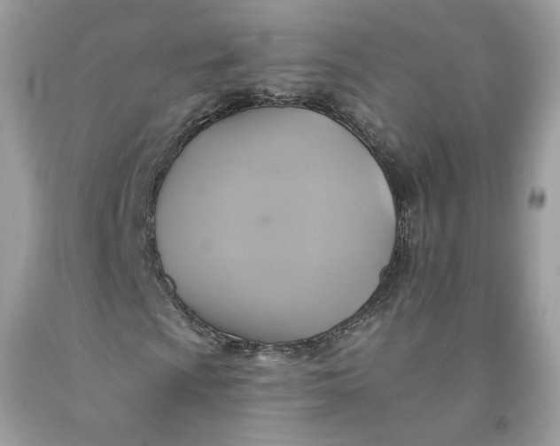 X0000091581009200709101014