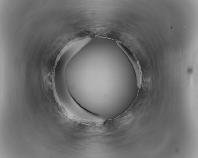 X0000091581010200709101014