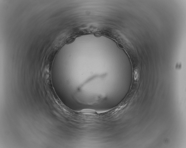 X0000091581011200709101014