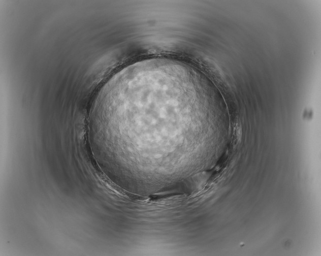 X0000091581012200709101014