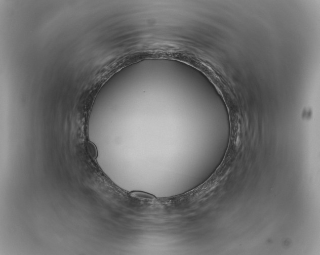 X0000091581013200709101014