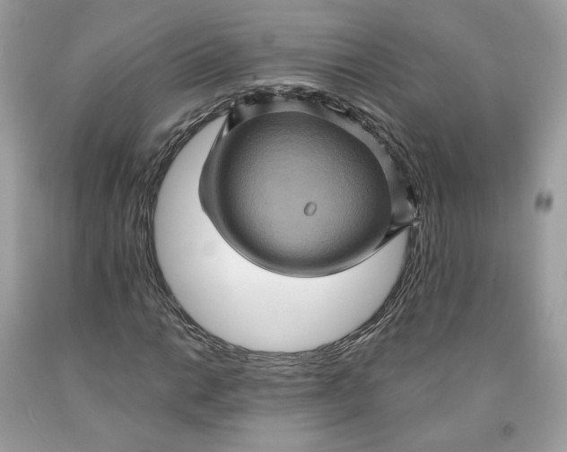 X0000091581014200709101014