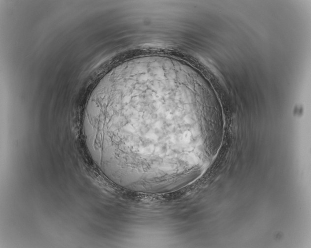 X0000091581015200709101014