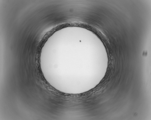 X0000091581016200709101014