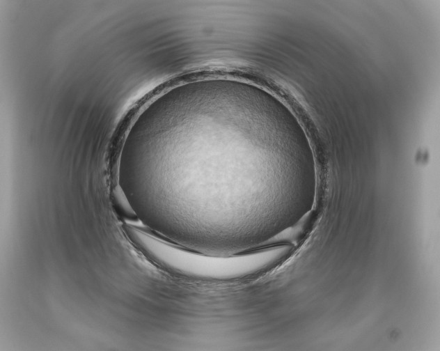 X0000091581018200709101014