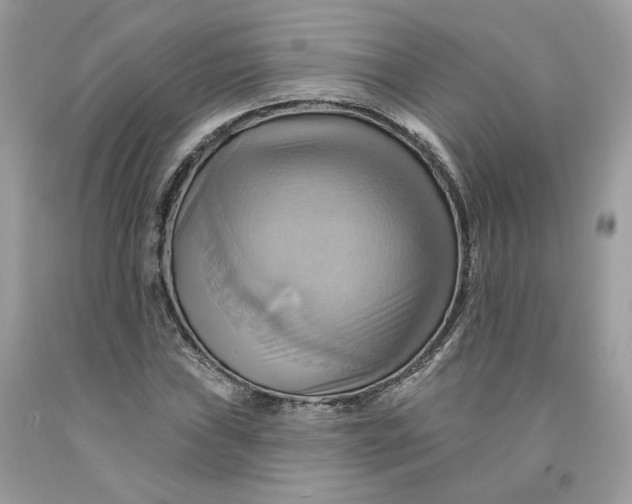 X0000091581019200709101014