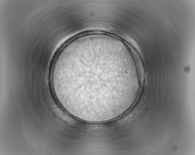 X0000091581020200709101014