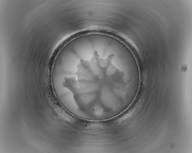 X0000091581021200709101014