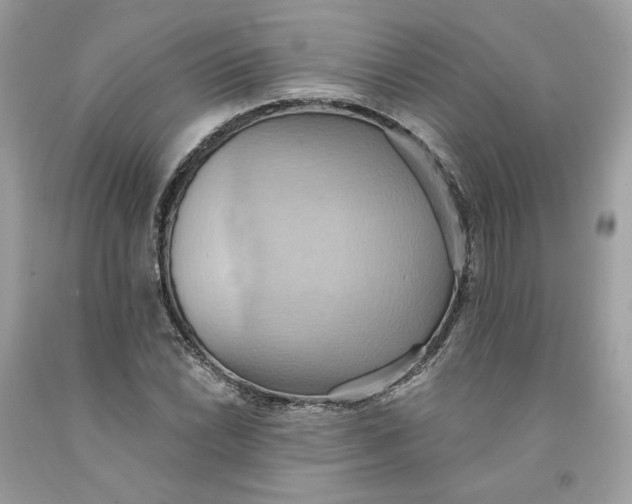 X0000091581022200709101014