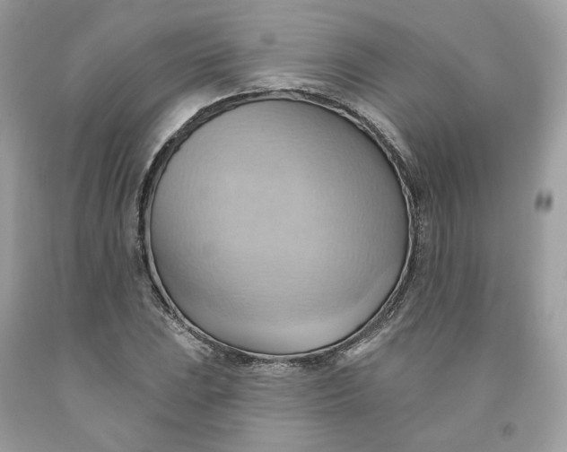 X0000091581023200709101014