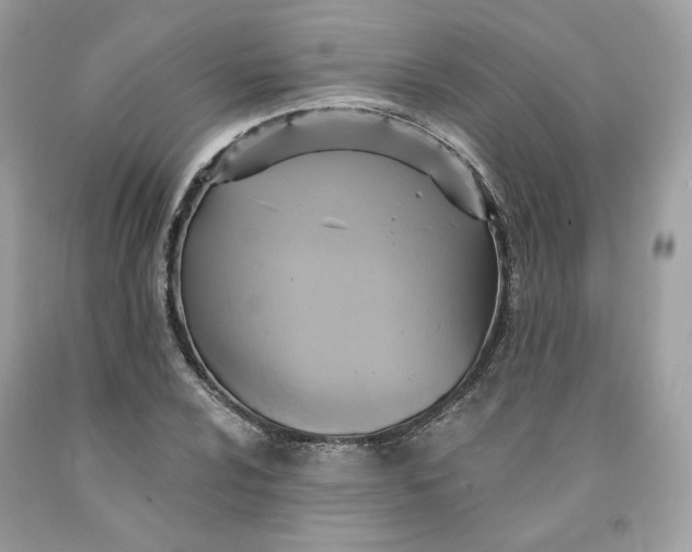 X0000091581024200709101014