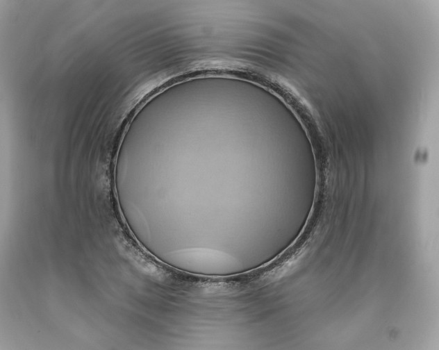 X0000091581025200709101014