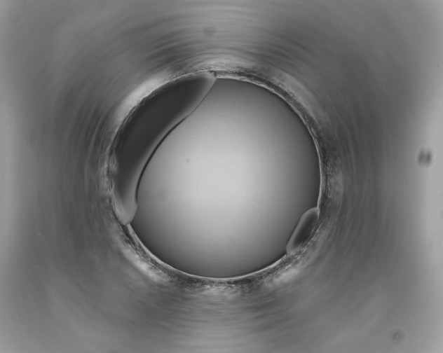 X0000091581026200709101014