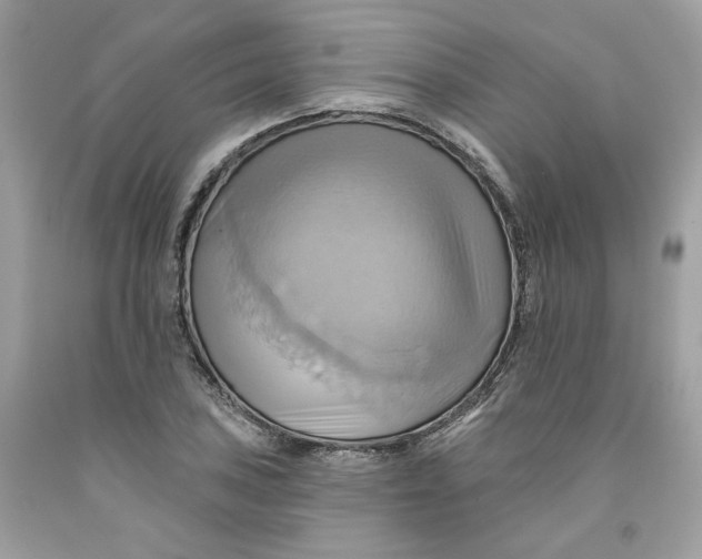 X0000091581027200709101014