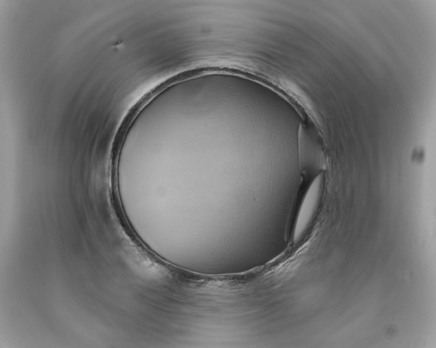 X0000091581028200709101014