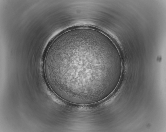 X0000091581029200709101014