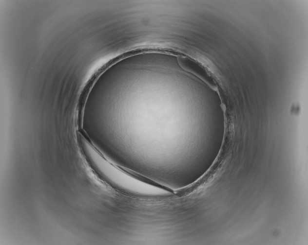 X0000091581030200709101014