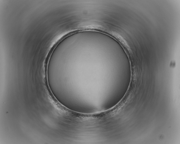 X0000091581031200709101014