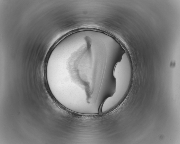 X0000091581032200709101014