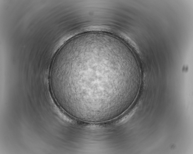 X0000091581033200709101014