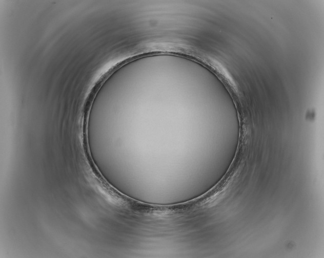 X0000091581035200709101014