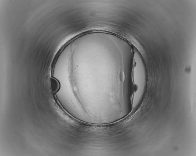 X0000091581036200709101014