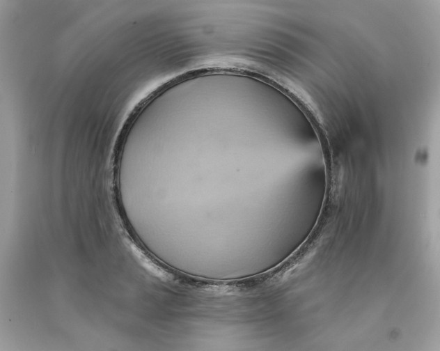 X0000091581037200709101014