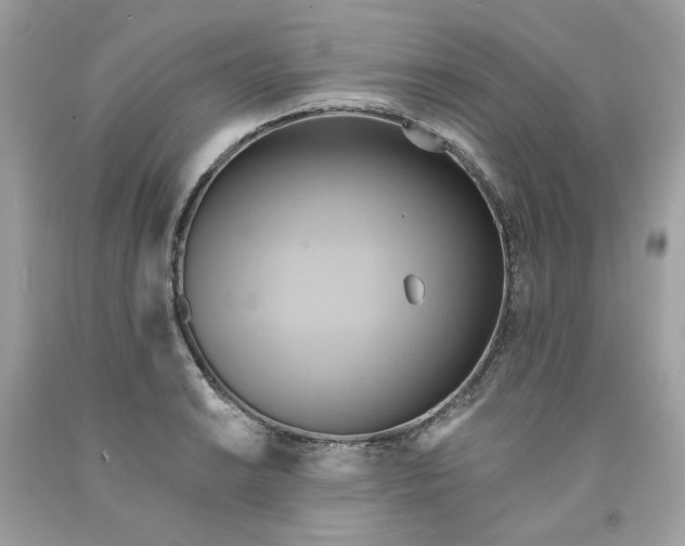 X0000091581038200709101014