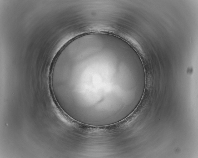 X0000091581039200709101014