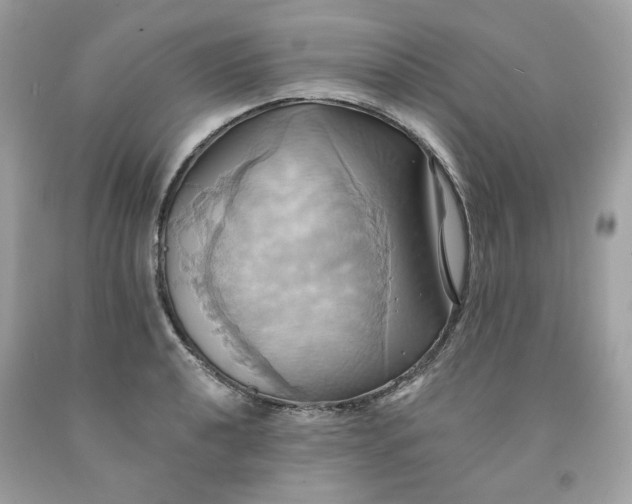 X0000091581040200709101014