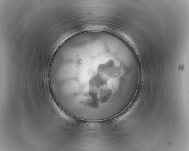 X0000091581041200709101014