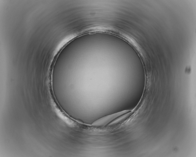 X0000091581042200709101014