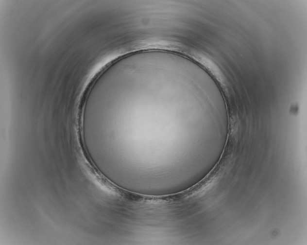 X0000091581043200709101014