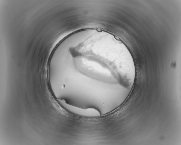 X0000091581044200709101014