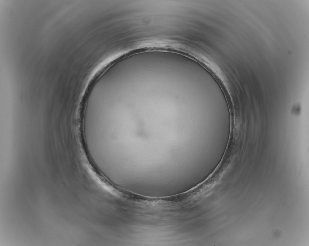 X0000091581045200709101014