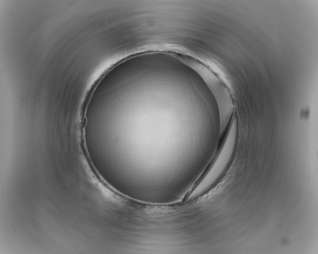 X0000091581046200709101014