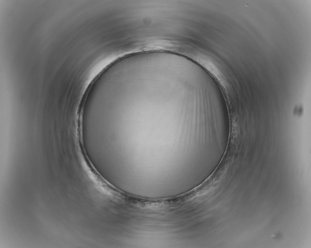 X0000091581047200709101014