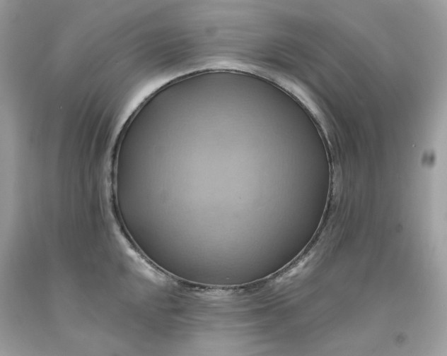 X0000091581048200709101014