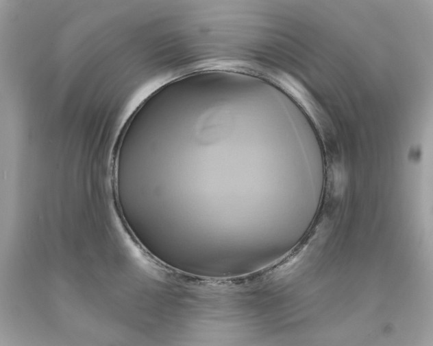 X0000091581050200709101014